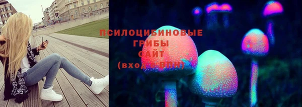 гашик Абаза