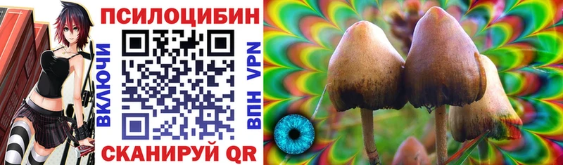 Псилоцибиновые грибы Psilocybine cubensis  Чкаловск 