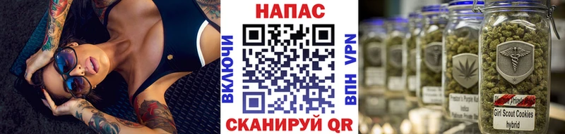 где купить наркоту нарко площадка клад МЕГА зеркало Каннабис VHQ Чкаловск